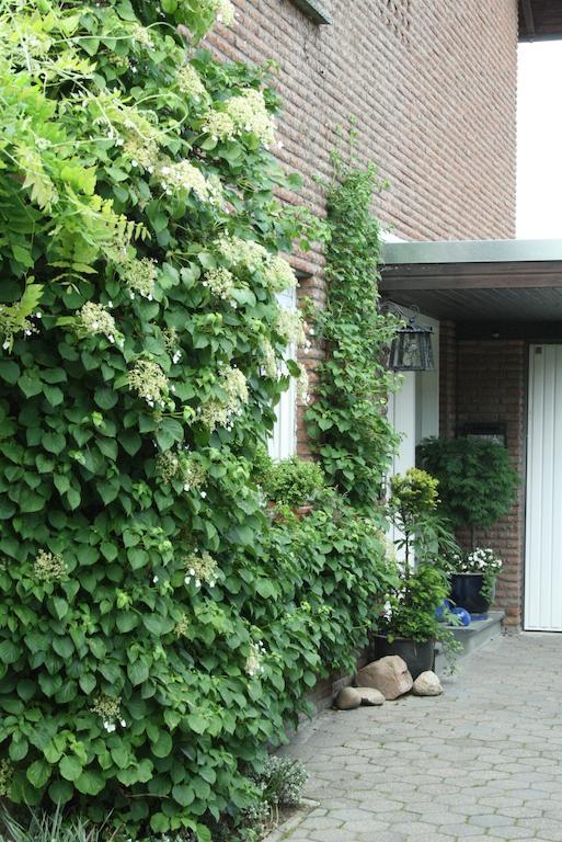 Ferienwohnung Illerhues Ascheberg  Bilik gambar